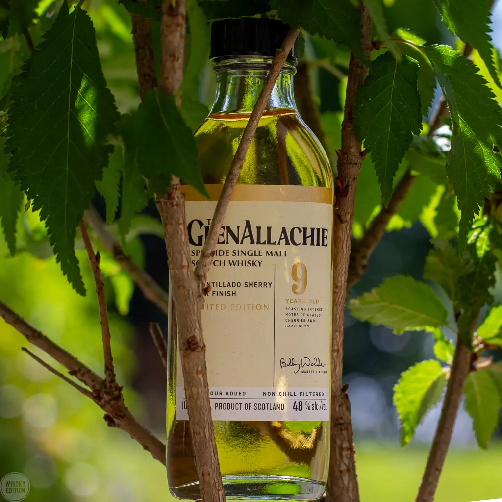 GlenAllachie 9 Years Amontillado Sherry Cask Finish - The Wood Collection