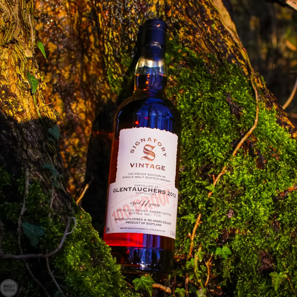 Glentauchers 11 Years 2012/2024 - Signatory Vintage